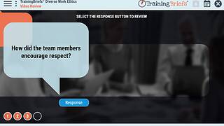 TrainingBriefs® Diverse Work Ethics