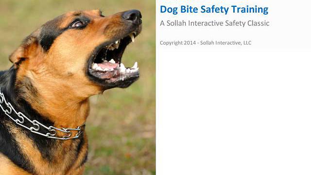 Dog Bite Safety Training™