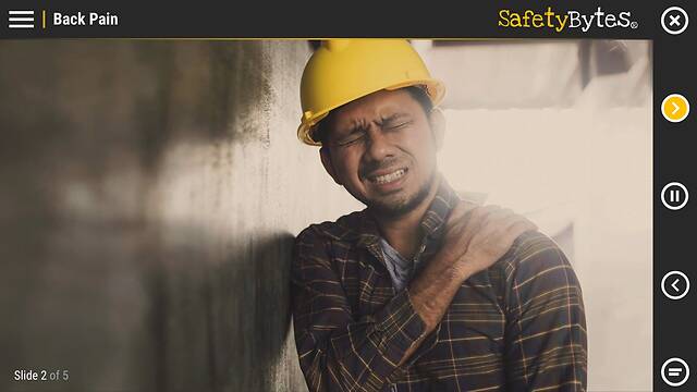 SafetyBytes® - How Your Back Works