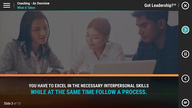 Got Leadership?® Coaching - An Overview