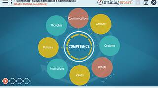 TrainingBriefs® Cultural Competence & Communication