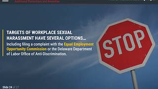 The Consequences of <mark>Sexual Harassment</mark>™ (DE Employee)